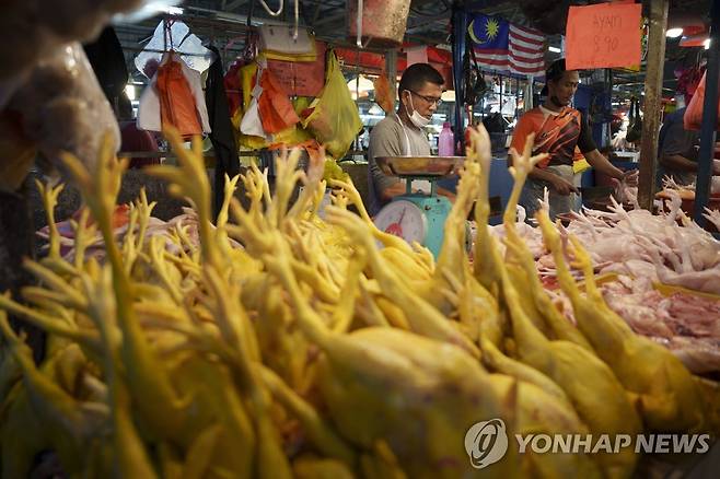 말레이시아 시장의 닭고기 [AP 연합뉴스 자료사진. 재판매 및 DB 금지]