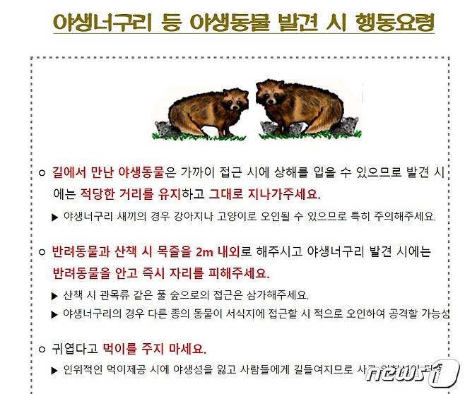 서울시가 25개 자치구에 배포한 야생 너구리 발견시 행동요령 ⓒ 뉴스1