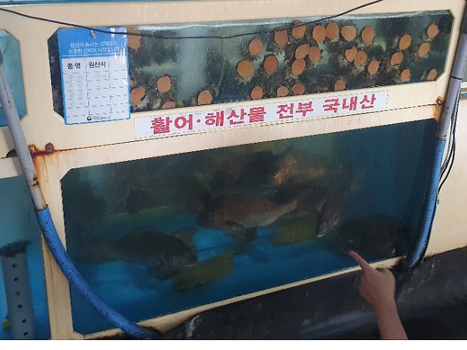 제주도 자치경찰단 제공