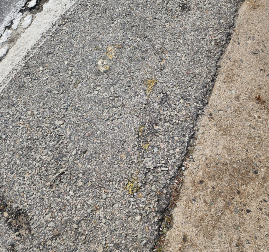 6일 오전 하이트진로 강원공장 진입로에서 불법 농성 중인 화물연대 조합원 중 일부가 투척한 계란이 도로에 떨어진 흔적. 하이트진로 제공.