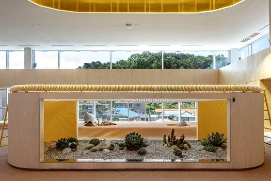 선인장 위에 설치된 그물 공간. 누우면 하늘이 보인다. ［사진 진효숙 작가］