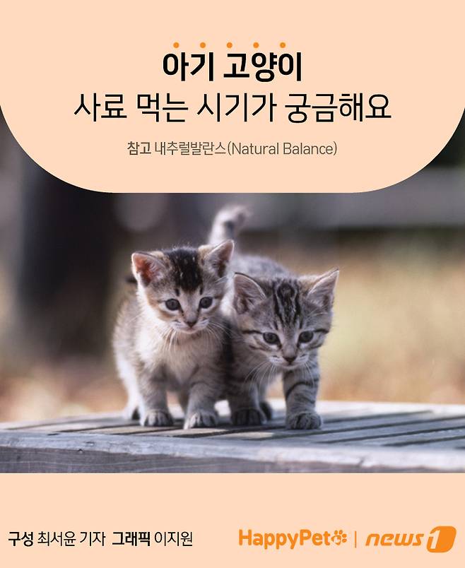 펫카드 ⓒ 뉴스1