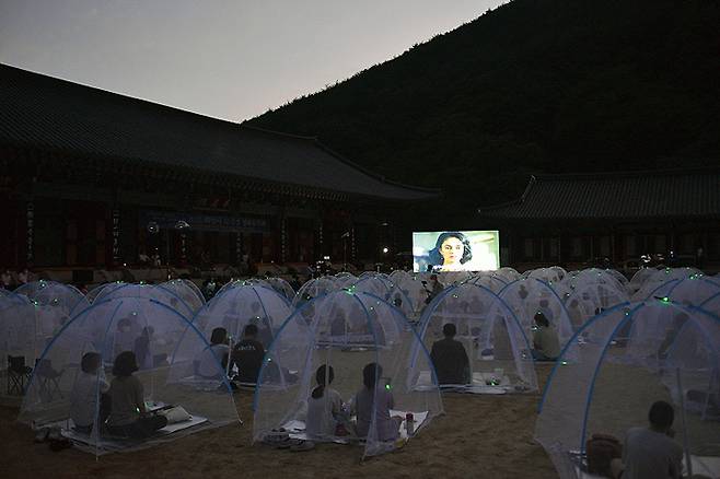 [서울=뉴시스] 조성우 기자 = 지난 6일 전라남도 구례군 화엄사 화엄원 마당에서 열린 2022 화엄사 모기장 영화음악회에서 참가자들이 영화와 영화 음악을 감상하고 있다. (사진=지리산 화엄사 제공) 2022.08.07. photo@newsis.com *재판매 및 DB 금지