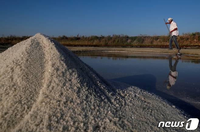 2020년 7월17일(현지시간) 프랑스 게랑드 지역에서 소금 농부가 소금의 캐비아라고 불리는 '플뢰르 드 셀(Fleur de Sel)'을 만들고 있다. ⓒ 로이터=뉴스1 ⓒ News1 김예슬 기자