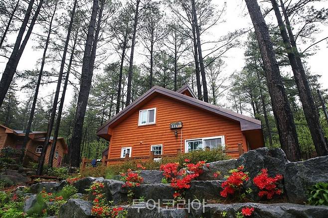 광양 자연휴양림