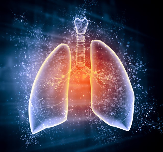 폐섬유화는 중증 코로나 환자에서 후유증으로 나타나는데, 증상이 심각할 경우 호흡부전으로 생명에 지장을 줄 수 있다./클립아트코리아 제공