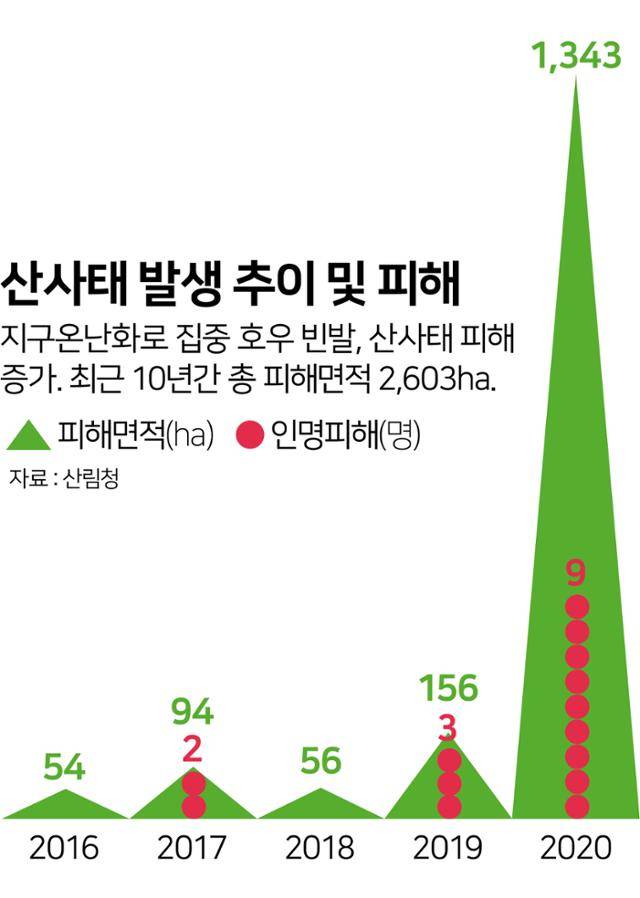 그래픽=김문중 기자