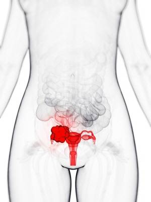 클립아트코리아