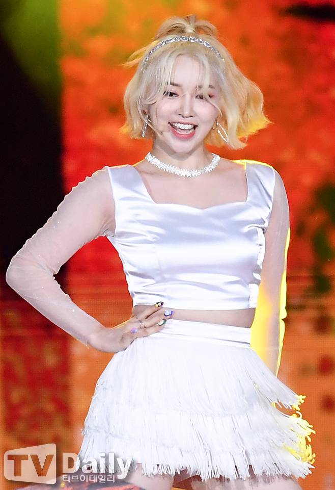 티브이데일리 포토