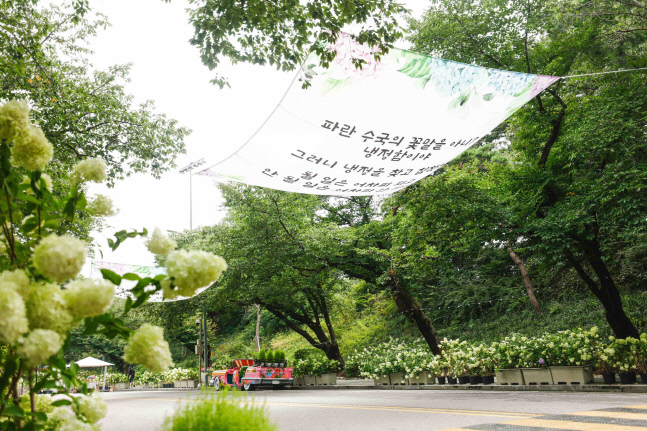 2022년 서울경마공원 수국축제
