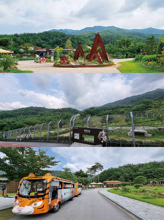 호랑이숲에는 여섯 마리의 백두산 호랑이가 산다, 수목원을 편히 즐길 수 있는 트램