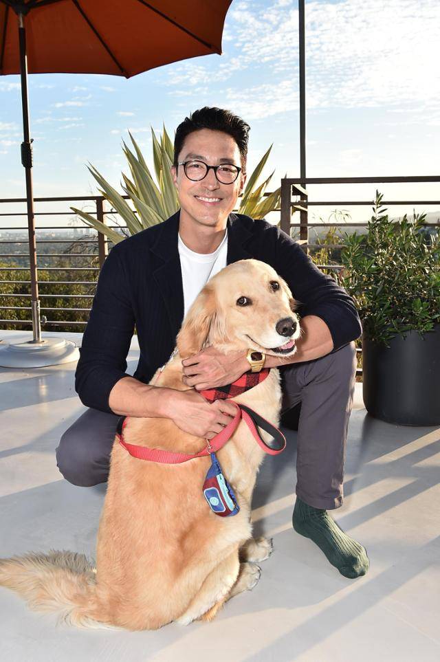 다니엘 헤니가 올해 5월 14일 미국 로스앤젤레스에서 열린 HSI 행사에 HSI를 통해 입양한 줄리엣과 참석했다. 조선 스트라우스·HSI 제공