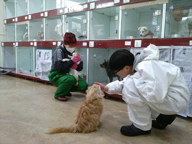 제주도는 읍·면지역 실외견(마당개) 중성화 수술 지원사업을 실시한다. 사진은 제주동물보호센터 전경. 제주도 제공