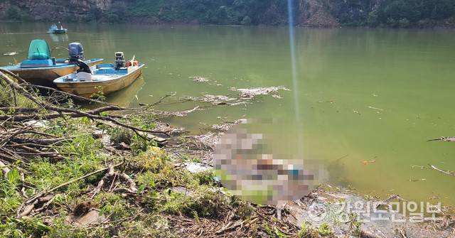 ▲ 11일 오전 8시 50분쯤 강원 화천 동촌리&nbsp;평화의댐 선착장 인근에서 남자아이로 추정되는 변사체가 발견됐다.&nbsp;