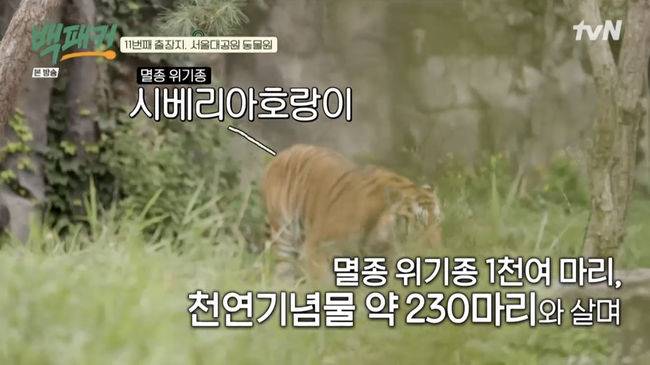 '백패커' 방송화면