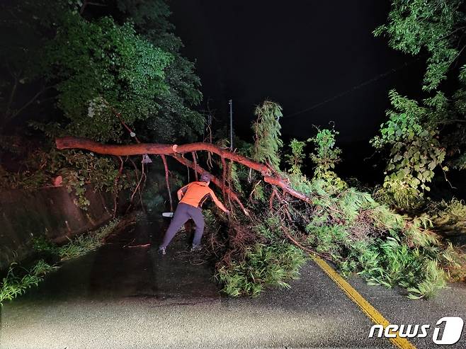 지난 10일 충남 홍성군 홍동면에서 소방대원들이 집중호우로 인해 도로로 쓰러진 나무를 치우고 있다. (소방청 제공) 뉴스1