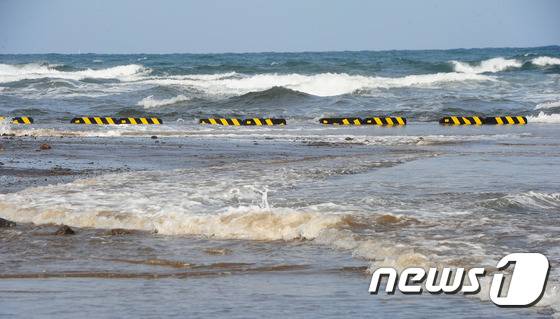 지구와 달이 가까워지는 천문조 현상으로 인해 해수면 수위가 높아진 제주시 외도천 인근 해안에 바닷물이 주차장으로 넘치고 있다.2016.11.15/뉴스1 ⓒ News1 이석형 기자