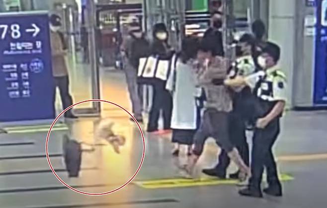 지난 2일 경기 평택역에서 한 남성이 포메라니안 종의 강아지 한 마리가 담긴 가방을 바닥에 던지고 있다. /케어