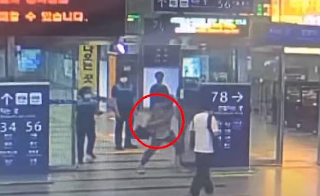 지난 2일 경기 평택역에서 한 남성이 포메라니안 종의 강아지 한 마리가 담긴 가방을 들고 안내판을 향해 휘두르고 있다. /케어