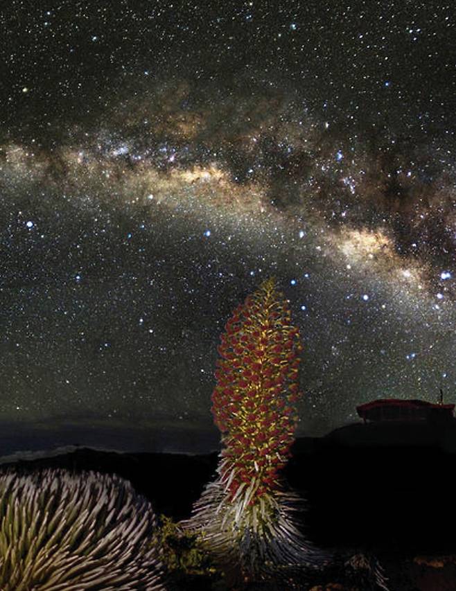 해발 3000m 높이의 할레아칼라 국립공원에서 할 수 있는 가장 특별한 경험. 별 관측하기.