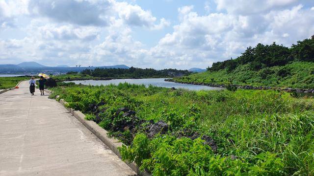 제주 비양도 내 펄렁못 습지 전경. 김영헌 기자