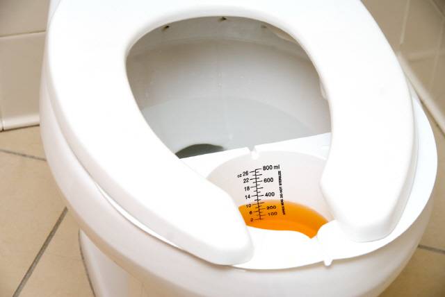 영양제를 먹은 후 다양한 색의 소변이 나올 수 있다./사진=클립아트코리아