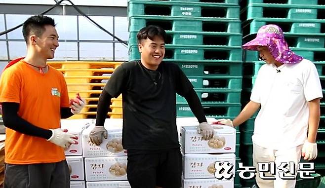 청년보스 김진해씨(왼쪽부터), 이선웅씨, 김지훈씨가 직접 수확한 감자 앞에서 함박웃음을 짓고 있다.