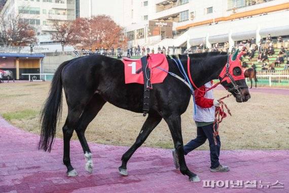 엠제이파워. 사진제공=한국마사회