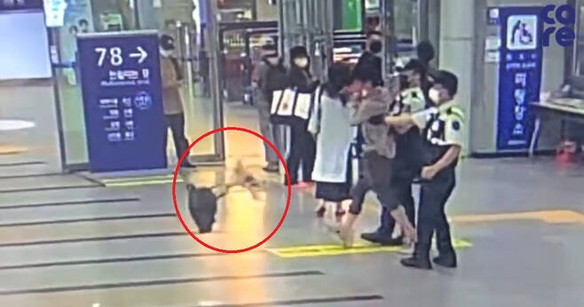 동물권단체 '케어'가 공개한 영상 속에 한 남성이 강아지가 든 가방을 바닥에 던지는 장면이 담겨있다. [동물권단체 '케어']