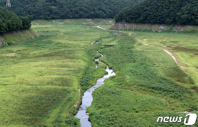중부지방은 연이은 집중호우로 물난리를 겪는 반면 남부지방은 극심한 가뭄이 이어지고 있다. 11일 오전 울산 울주군 대곡댐 상류가 바닥을 드러낸 채 수풀만 무성하게 자라있다. 2022.8.11/뉴스1 ⓒ News1 윤일지 기자