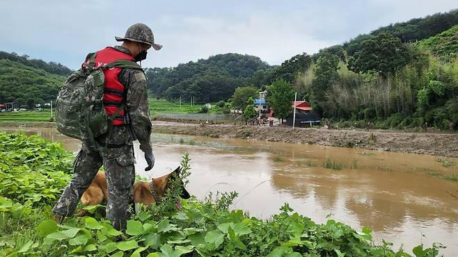 육군 32사단 장병들이 14일 충남 부여군 은산면 나령리 은산천 일대에서 군용견을 동원해 실종자 수색 작업을 하고 있다. (육군 32사단 제공)  / news1
