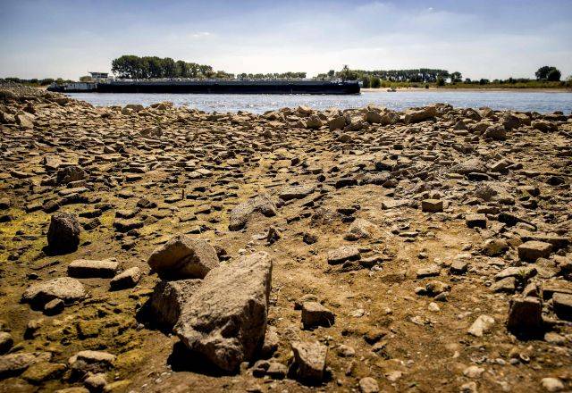 13일(현지시간) 독일 라인강이 메말라 강 바닥이 드러나 있다. AFP연합뉴스
