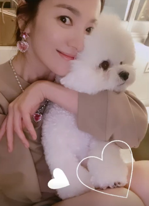 /사진=송혜교 인스타그램
