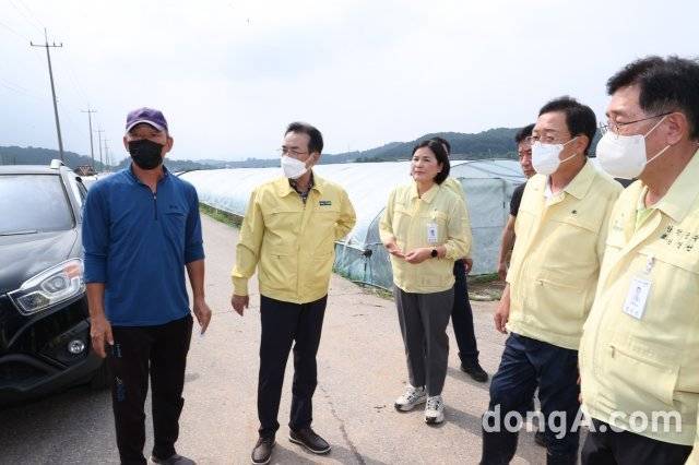 이성희 농협중앙회장(왼쪽에서 두번째)이 14일 경기 양평군 소재 시설하우스 침수피해 농가를 찾아 농업인으로부터 현장의견을 청취하고 조속한 복구 지원방안을 논의하고 있다. 사진 오른쪽부터 전진선 양평군수, 김선교 국회의원, 윤순옥 양평군의회 의장.