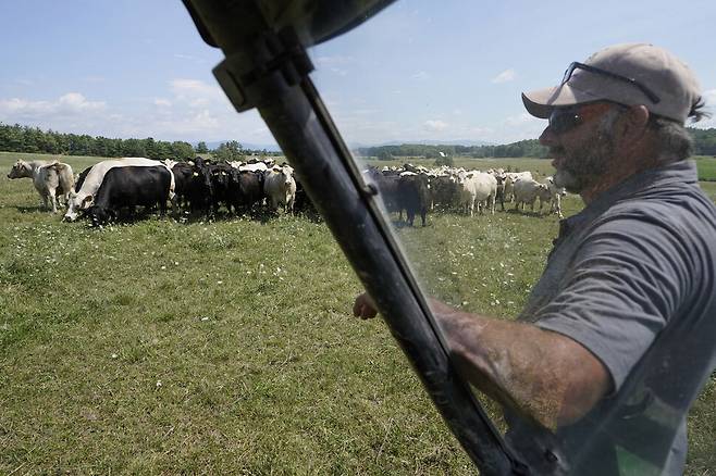 미 북동부 버몬트주 서드베리에 위치한 자신의 농장에서 유기농 소고기를 생산하는 농부 브라이언 켐프는 지난 8일 소들을 지켜보고 있다. 그는 올해 유독 극심한 가뭄이 기상이변의 영향인 것 같다고 말했다. AP 연합뉴스