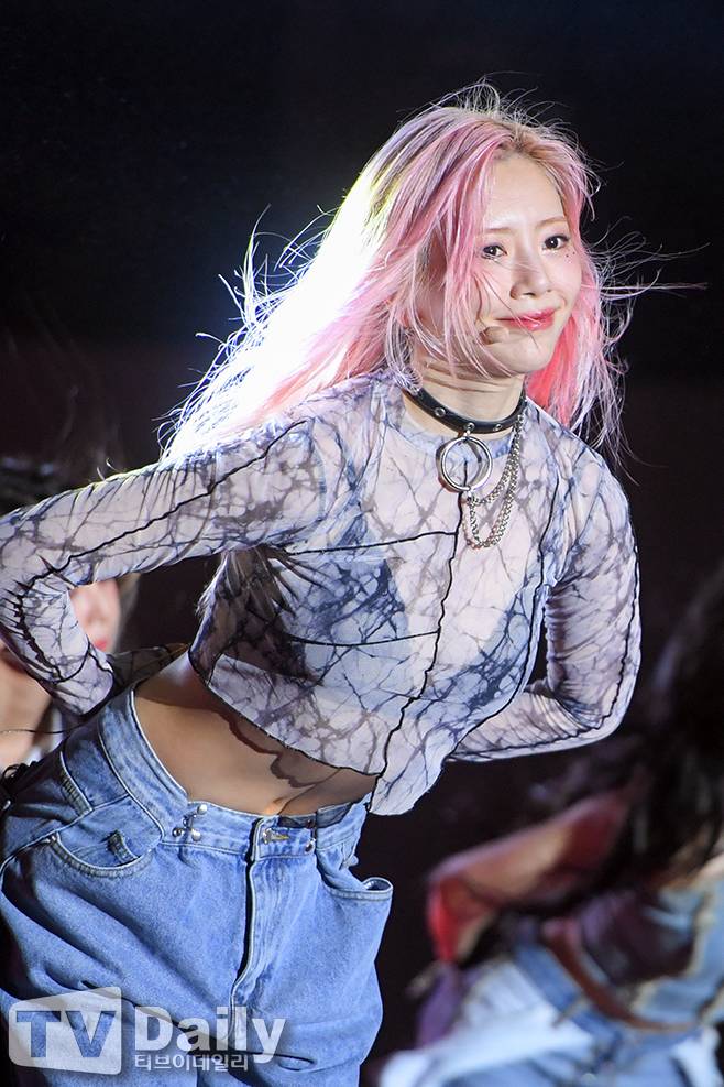 티브이데일리 포토