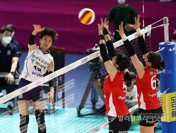 한국도로공사 김세인.