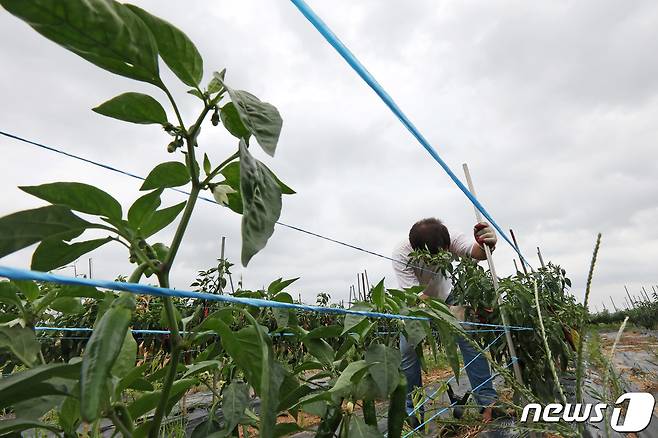 먹구름 낀 날씨/뉴스1 ⓒ News1 조태형 기자