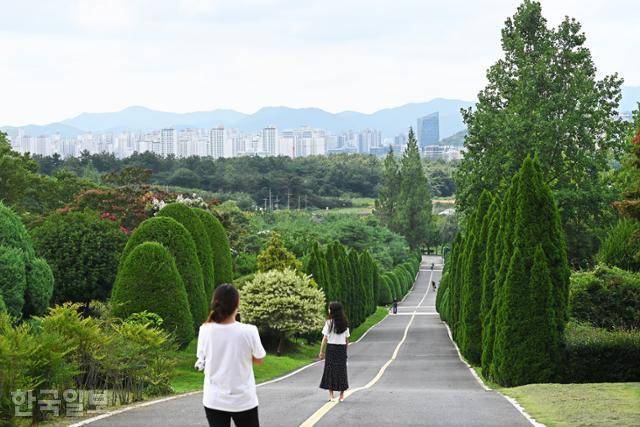 전라남도 산림자원연구소의 향나무길. 가지런하게 다듬어 유럽의 정원을 연상시킨다.