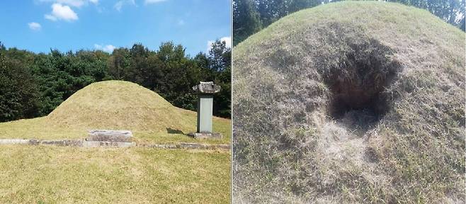 지난 2020년 9월 도굴갱이 확인된 경기 용인시의 죽산박씨 문헌공파 묘역(용인시 향토유적 제70호). 문화재청 제공