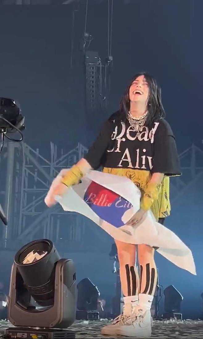 빌리 아일리시가 전날 공연에서 관객이 건넨 태극기를 흔드는 모습. /사진=트위터 캡처