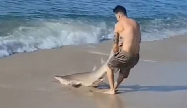 상어는 결국 남성의 손에 의해 모래사장 위로 끌려나왔다. 사진은 장난치는 남성의 모습이 담긴 영상 일부. /사진=트위터 캡처