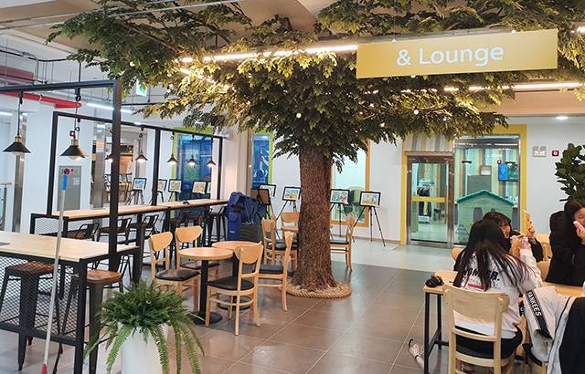 ▲삼척 청년몰. 사진은 기사와 관련 없음. ⓒ삼척시