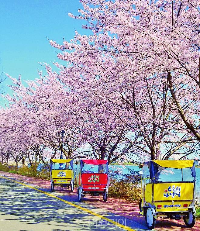 영랑호 스토리자전거