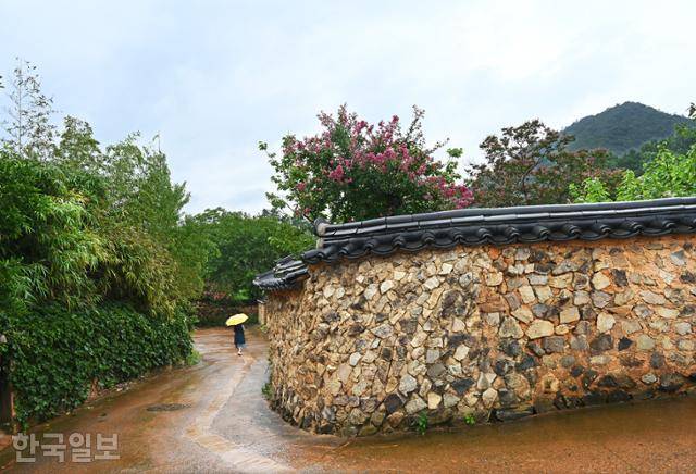 도래마을 풍산 홍씨 종갓집인 홍기응 가옥 돌담길.