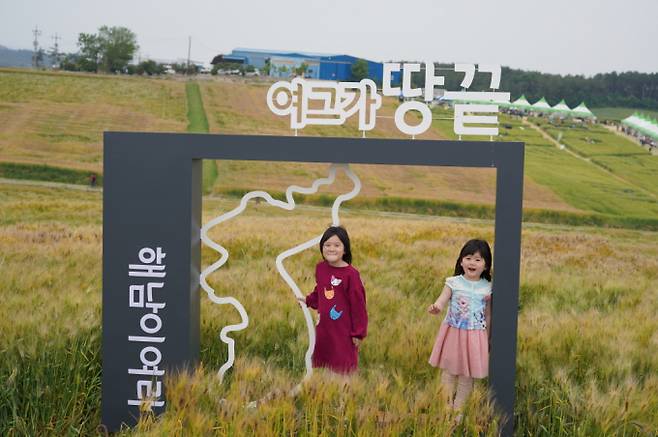 전남 해남군 황산면 연호리 보리밭. / 사진제공=해남군