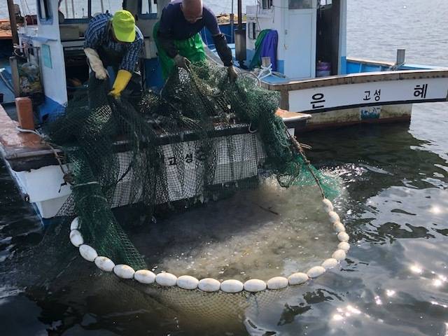 [고성(경남)=뉴시스] 신정철 기자= 이상근 경남 고성군수는 17일 해파리 주의보가 발령된 고성만과 자란만 해역을 방문, 구제작업에 나선 어업인과 관계 공무원들의 애로사항을 정취하고 격려했다.사진은 해파리 구제작업선 전경.(사진=고성군 제공).2022.08.17. photo@newsis.com  *재판매 및 DB 금지