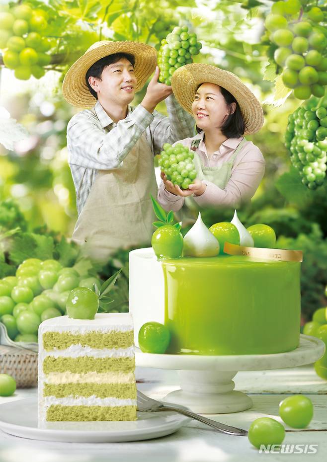 영천 샤인머스켓 생크림 케이크