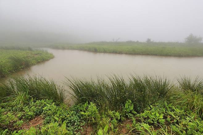 항상 물이 흐르는 용늪[사진/조보희 기자]