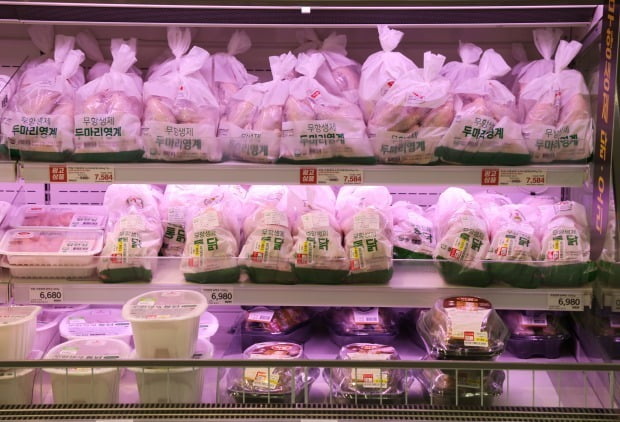한우, 돼지고기에 이어 닭고깃값도 상승세 (사진=연합뉴스)